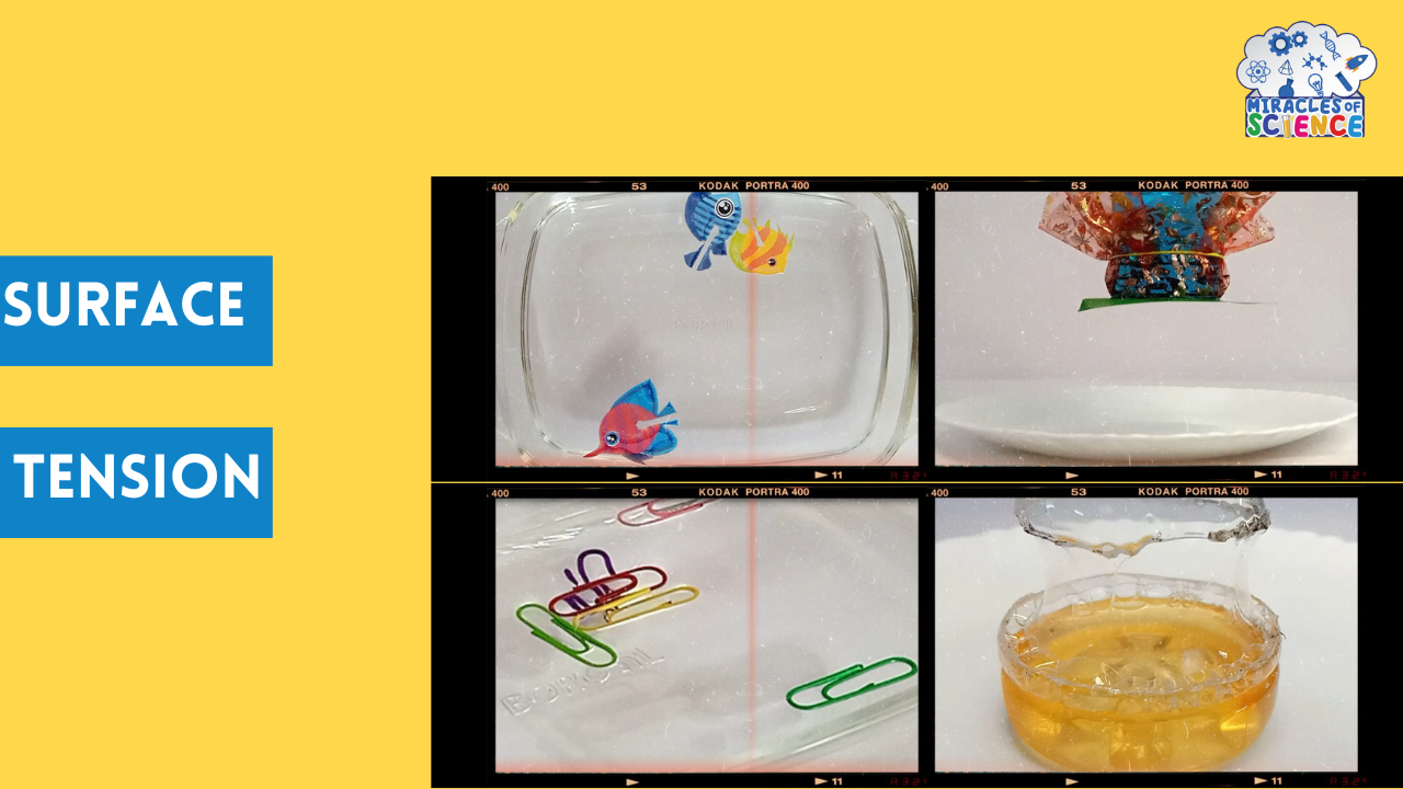 Surface Tension experiments